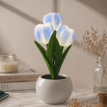 🌷 SVOZK® Lamp — Bring Comfort, Style, and Ambiance to Every Corner of Your Home ✨