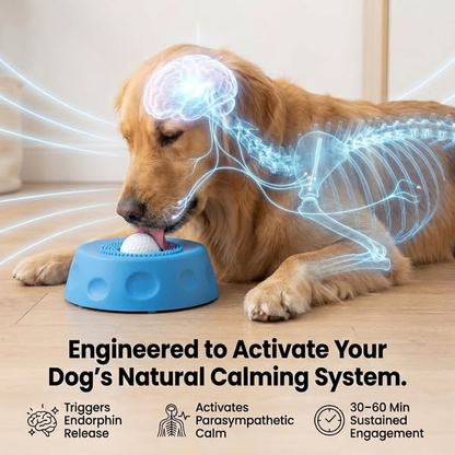 𝗥𝗘𝗕𝗬𝗜𝗣𝗢®🔥Slow Feeder Dog Bowl with Rolling Ball-Suitable for large, medium, and small dogs.🐕‍🦺